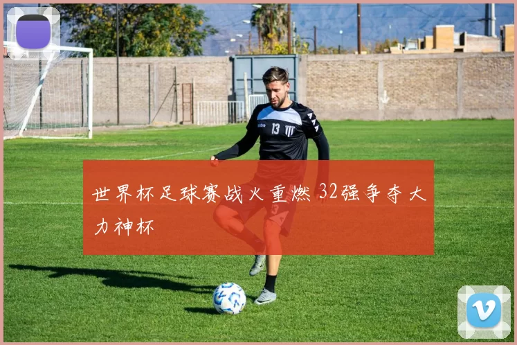 世界杯足球赛战火重燃 32强争夺大力神杯
