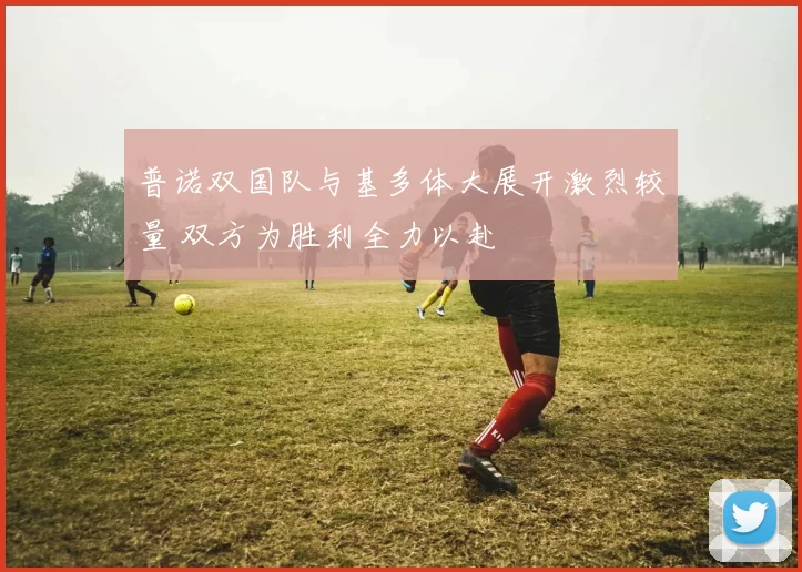 普诺双国队与基多体大展开激烈较量 双方为胜利全力以赴