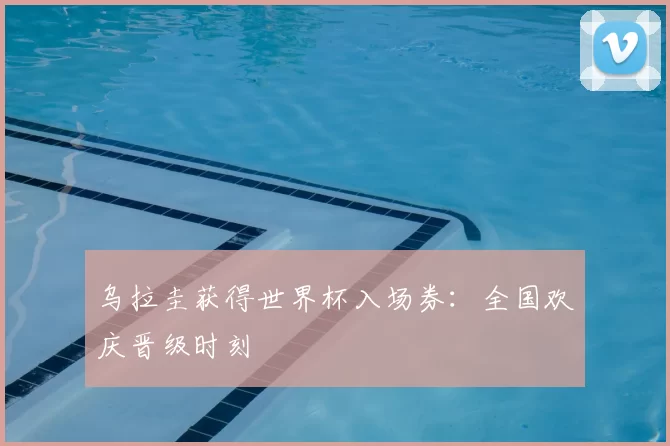 乌拉圭获得世界杯入场券：全国欢庆晋级时刻