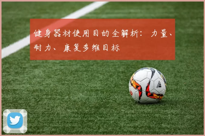 健身器材使用目的全解析：力量、耐力、康复多维目标