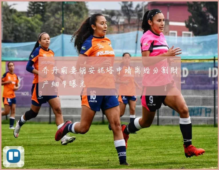 乔丹前妻胡安妮塔申请离婚分割财产细节曝光