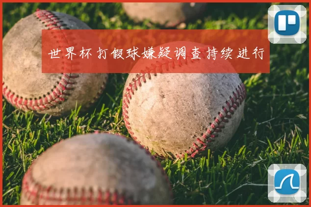 世界杯打假球嫌疑调查持续进行
