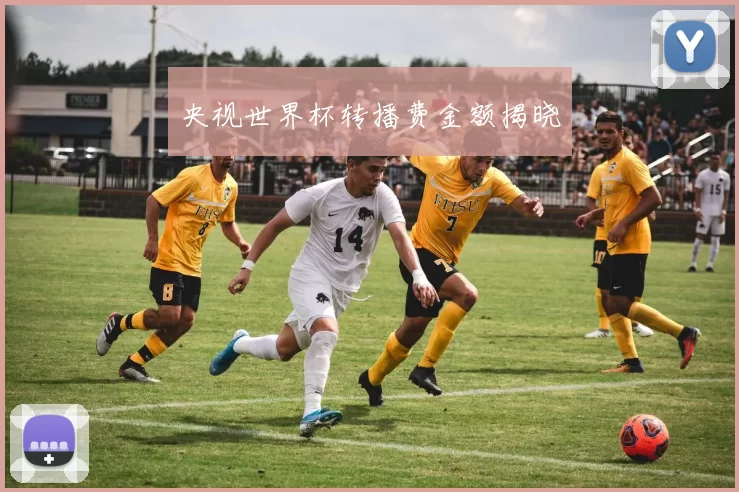 央视世界杯转播费金额揭晓