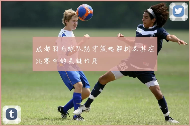 成都羽毛球队防守策略解析及其在比赛中的关键作用