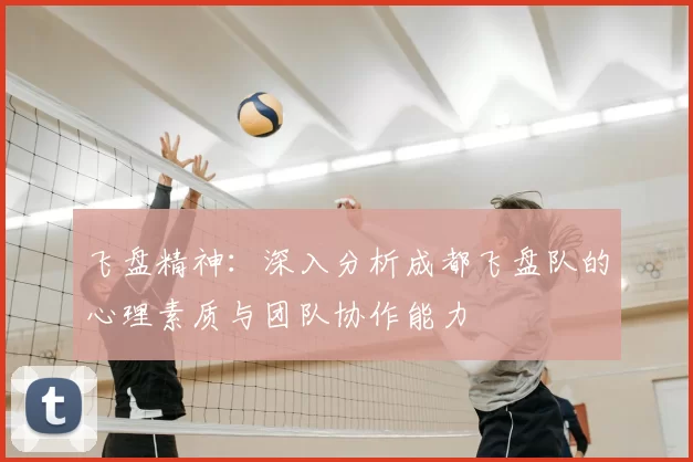 飞盘精神：深入分析成都飞盘队的心理素质与团队协作能力