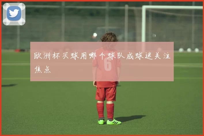 欧洲杯买球用哪个球队成球迷关注焦点