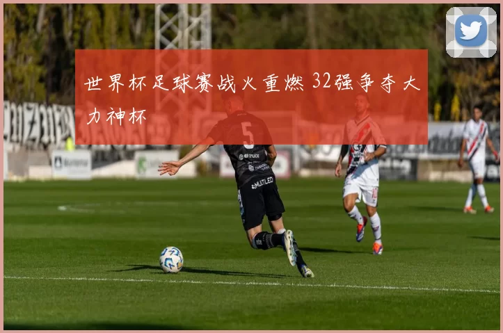 世界杯足球赛战火重燃 32强争夺大力神杯