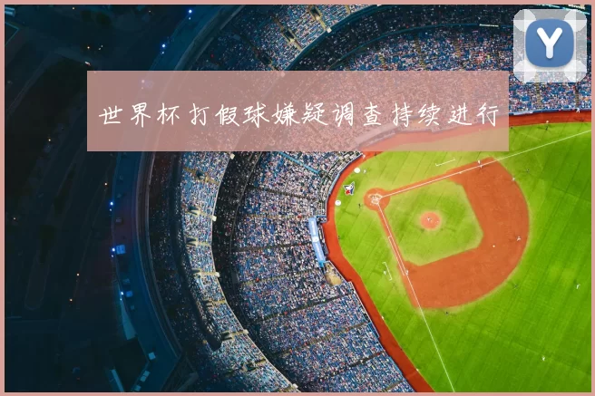 世界杯打假球嫌疑调查持续进行