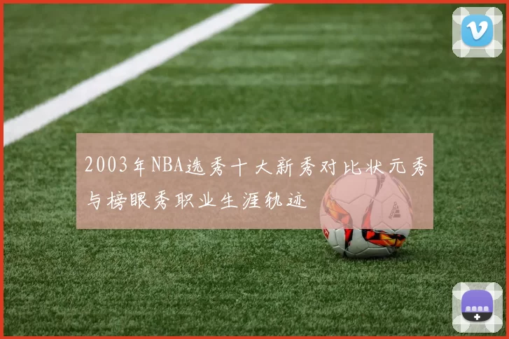 2003年NBA选秀十大新秀对比状元秀与榜眼秀职业生涯轨迹