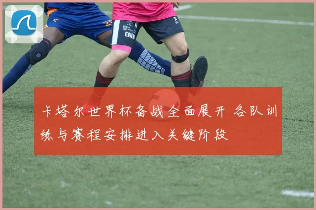 卡塔尔世界杯备战全面展开 各队训练与赛程安排进入关键阶段