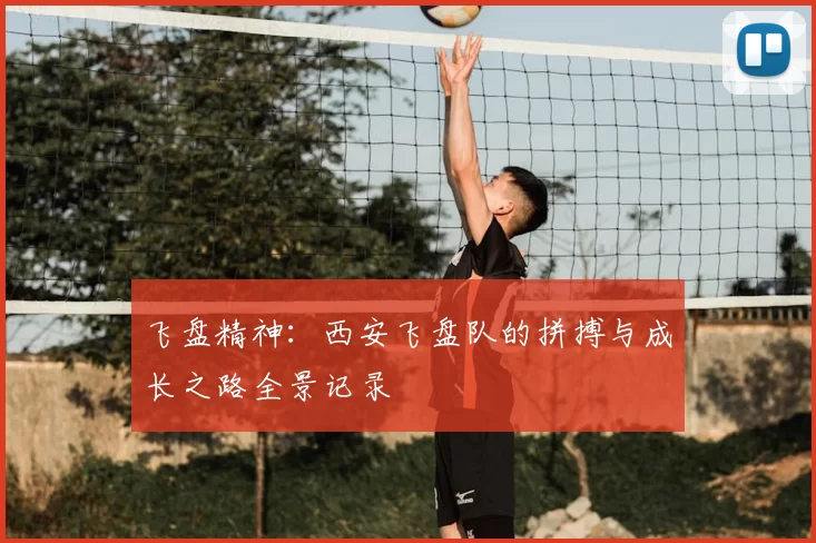 飞盘精神：西安飞盘队的拼搏与成长之路全景记录