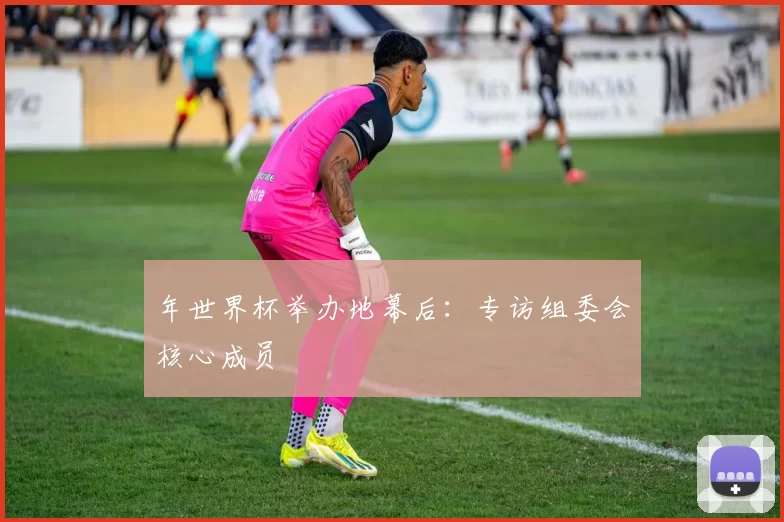 年世界杯举办地幕后:专访组委会核心成员