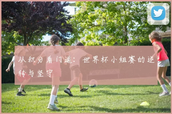 从积分看门道:世界杯小组赛的逆转与坚守