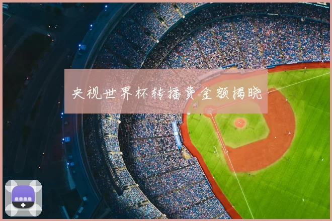 央视世界杯转播费金额揭晓